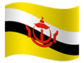 Brunei Darussalam flag