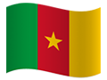 Cameroon flag