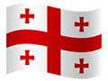 Georgia flag