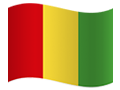 Guinea flag