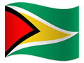 Guyana flag