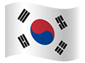 Republic of Korea flag