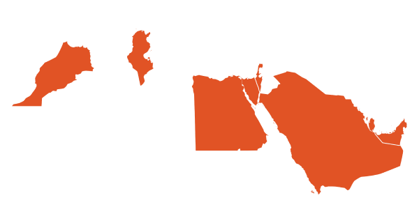 Middle East and North Africa flag