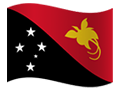 Papua New Guinea flag