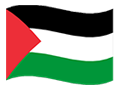 Palestinian Territory (Occupied) flag