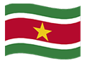 Suriname flag