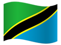 Tanzania (United Republic of) flag