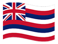 Hawaii flag