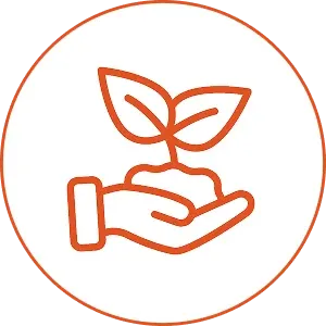 Section Icon